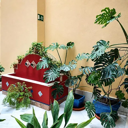 Large And Practic - 3bd 2bth- Arenal Apartament *